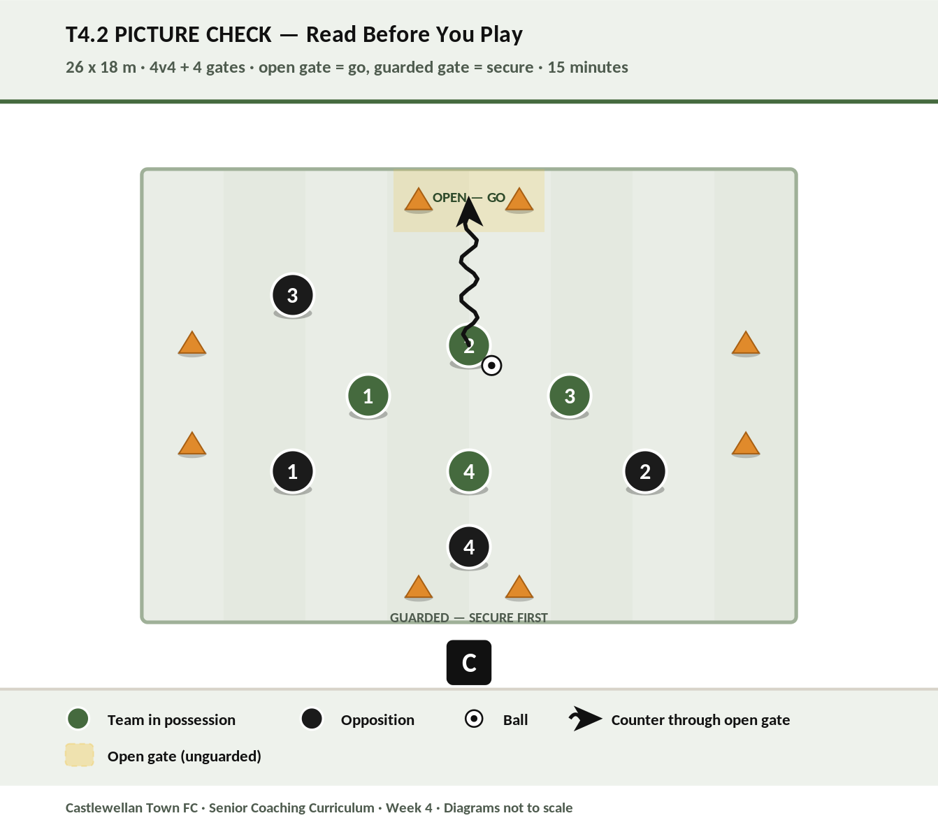 Picture Check diagram