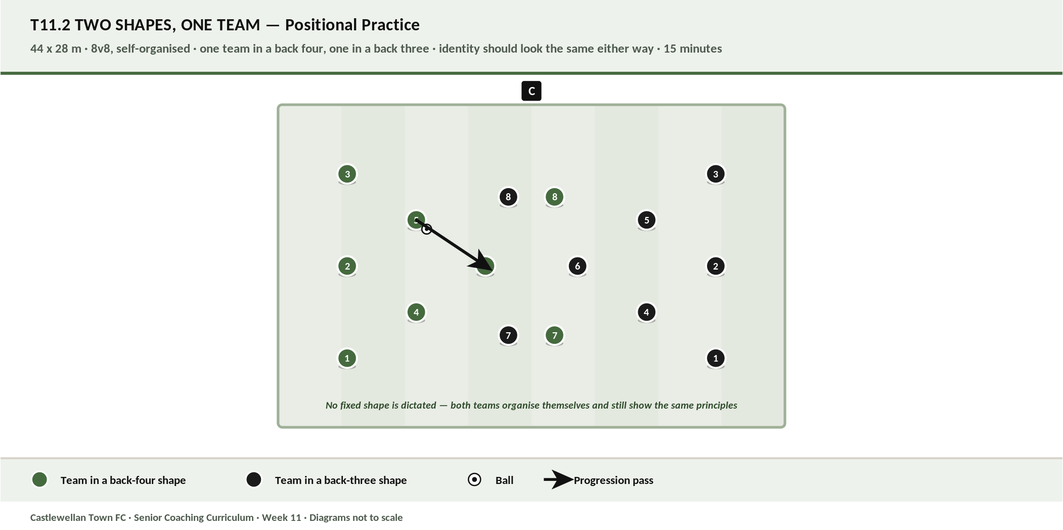 Two Shapes, One Team diagram