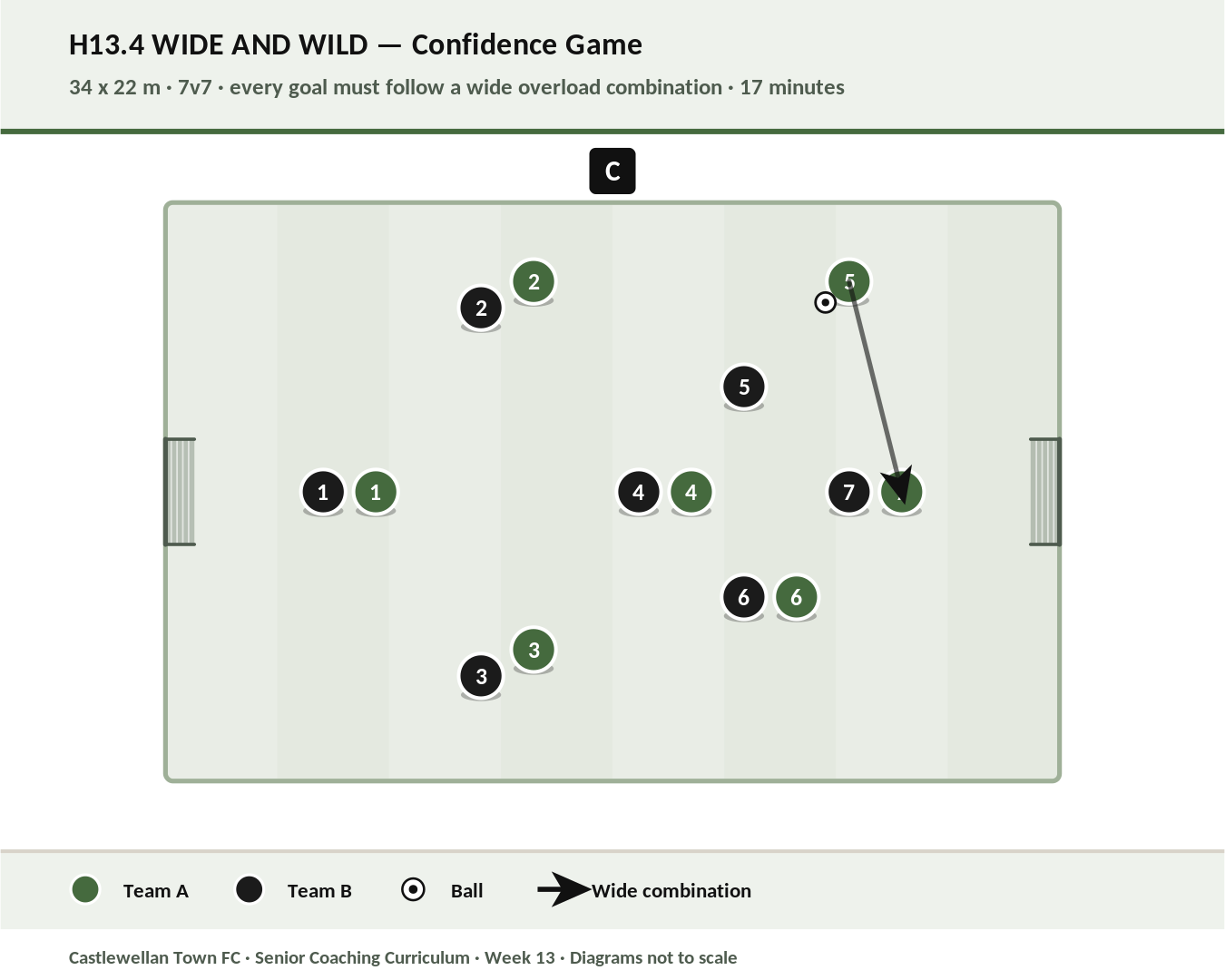 Wide and Wild diagram