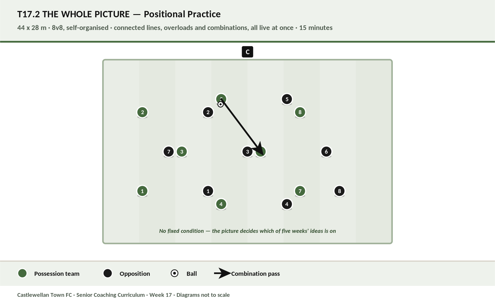 The Whole Picture diagram