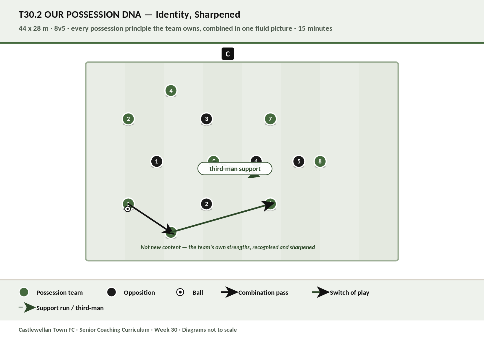 Our Possession DNA diagram
